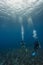 Two divers explore coral reef in Hol Chan Marine r