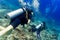 Two divers scuba diving in tropical sea at reef