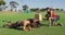 Two diverse fit men exercising outdoors, doing plank while male trainer times them