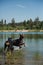 Two doberman dogs playing in the lake