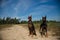 Two doberman dogs sitting in the field