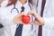 Two docter holding a red heart, health care concept.