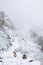 two dogs, black junior bodeguero and senior beagle, posing in a vertical photograph in winter time in a snowy forest with fog in