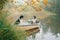 Two dogs in a boat in autumn. Tricolor australian shepherd in nature