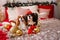 Two dogs of Cavalier King Charles Spaniel are lying on the sofa with New Year decorations for the Christmas tree. Dog