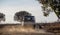 Two dogs chase a car on a dusty road