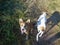 Two dogs of different colors are walking on the grass on a clear day