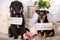 Two dogs dressed as wedding couple to announce their owners engagement