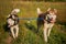 Two dogs having fun playing. Siberian husky escape together.