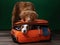 Two dogs help get ready for a trip. Pet with a suitcase. Nova Scotia Duck Tolling Retriever and Jack Russell Terrier