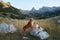 Two dogs in a mountainous terrain. The backdrop features rugged hills, rocks