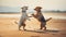 Two dogs playing on the beach. Beautiful shot of two dogs standing upright and dancing.