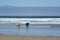 Two dogs Playing Fetch in Ocean at San Diego Dog Beach, California