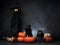 two dogs with pumpkins. black pugs, Halloween decor. Festive pet on a black background