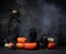 two dogs with pumpkins. black pugs, Halloween decor. Festive pet on a black background