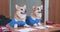 Two dogs in school uniform, nerd at their desk listen to lesson with inspiration