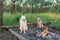 Two dogs sits by the fire. Dogs on vacation on a hike