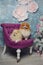 Two dogs sitting on a purple chair near the Christmas tree. greeting card for the new year celebration. beautiful dog. Pomeranian.