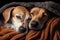 two dogs, snuggling and napping on warm, comfy blanket