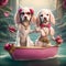 Two dogs spaniel, boy and girl are sitting boat