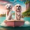 Two dogs spaniel, boy and girl are sitting boat