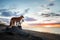 Two dogs stand on a log against the backdrop of sunset at sea. Nova Scotia Duck Tolling Retriever and a Jack Russell Terrier