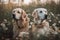 two dogs are standing in a field of flowers with their heads turned to the side