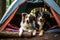 Two dogs in a tent in the forest. Camping in the nature. Generative AI