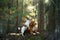 two dogs together in the forest. Duck Retriever Jack Russell Terrier in nature. Pet friendship