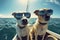 Two dogs wearing sunglasses on a boat in the ocean. Generative AI