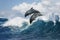 Two dolphins jumping over wave