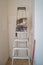 Two domestic playful cats sitting at the top of the high ladder the apartment corridor during painting walls and ceiling with