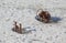 Two double bitt bollards with chain and metal rope in frozen river