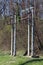 Two double concrete electrical power line utility poles with ceramic and glass insulators surrounded with uncut grass and dense