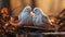 Two Doves, Columba livia, Pigeon bird standing with nature