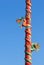 Two Dragons on Red Pillar isolated on Blue Sky Background