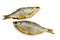 Two dried fish