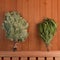 Two dry brooms on a shelf in the sauna. Birch and eucalyptus brooms for the steam room. Square Photo