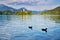 Two ducks on famous lake with church on Island - Bled. Slovenia. Scenery with clear blue water, building, castle and mountains