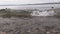 Two ducks float by the Lake Washington Shore edge as small, choppy waves push against them