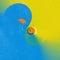 two ducks swimming an abstract design in yellow and blue colours and circular shapes