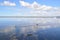 Two ducks swimming on a tidal lake in QLD