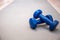 Two dumbbells close-up on a gray training mat