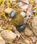 Two Dung Beetles rolling a dung ball