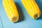 Two ears of boiled appetizing corn on a blue table/Two ears of boiled appetizing corn on a blue table. Healthy food. Selective