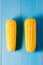 Two ears of boiled appetizing corn on a blue table/Two ears of boiled appetizing corn on a blue table. Healthy food. Top view