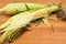 Two ears of corn, with the husk of one, pulled back to reviel yellow and white corn curnals,