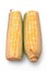 Two Ears of Corn Over White