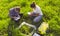 Two ecologist examining plants on the meadow