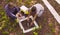 Two ecologist getting samples of soil in the forest